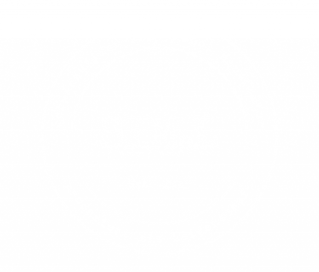 SIMpL Ingwershot